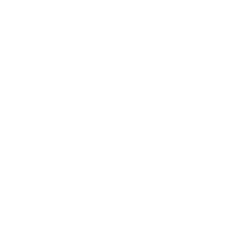 Berhan Bank logo